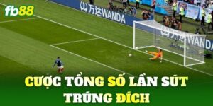 cuoc tong so lan sut trung dich