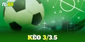 keo 3 3 5