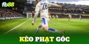 keo phat goc