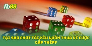 Tại Sao Chơi Tài Xỉu Luôn Thua vì cược gấp thếp?