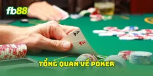 Tổng quan về poker