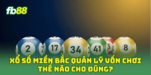 Xổ Số Miền Bắc quản lý vốn chơi thế nào cho đúng?