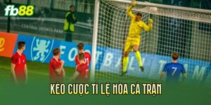 Kèo Cược Tỉ Lệ Hòa Cả Trận