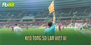 Kèo Tổng Số Lần Việt Vị