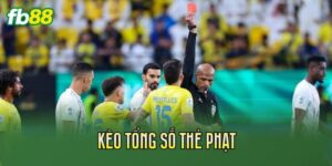 Kèo Tổng Số Thẻ Phạt