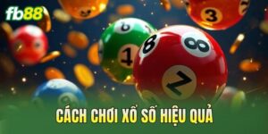 Cách Chơi Xổ Số Hiệu Quả