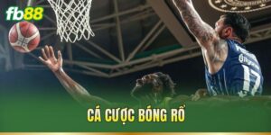 Cá Cược Bóng Rổ