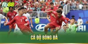 Cá Độ Bóng Đá