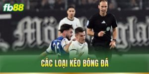 Các Loại Kèo Bóng Đá