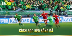 Cách Đọc Kèo Bóng Đá