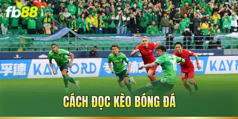 Cách Đọc Kèo Bóng Đá