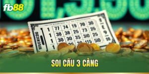 Soi Cầu 3 Càng