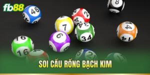 Soi Cầu Rồng Bạch Kim